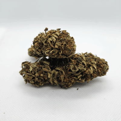 Cannatonic CBD – Greenhouse