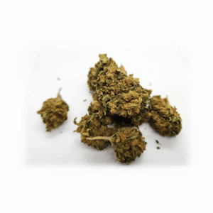Putin Beauty CBD – Greenhouse