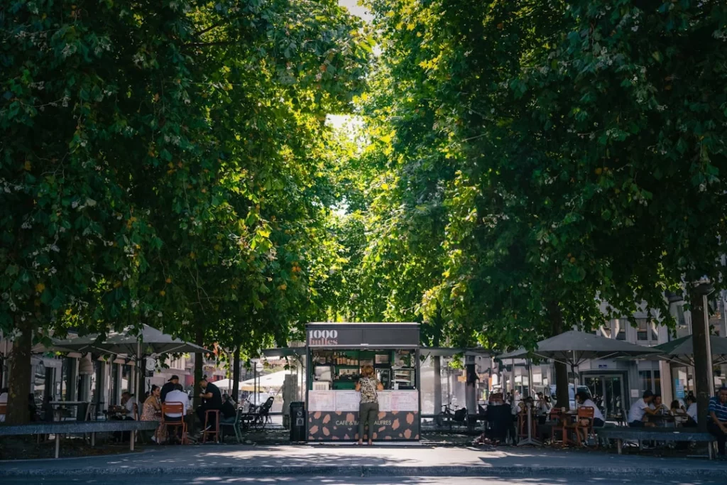 A group of people sitting at tables under trees