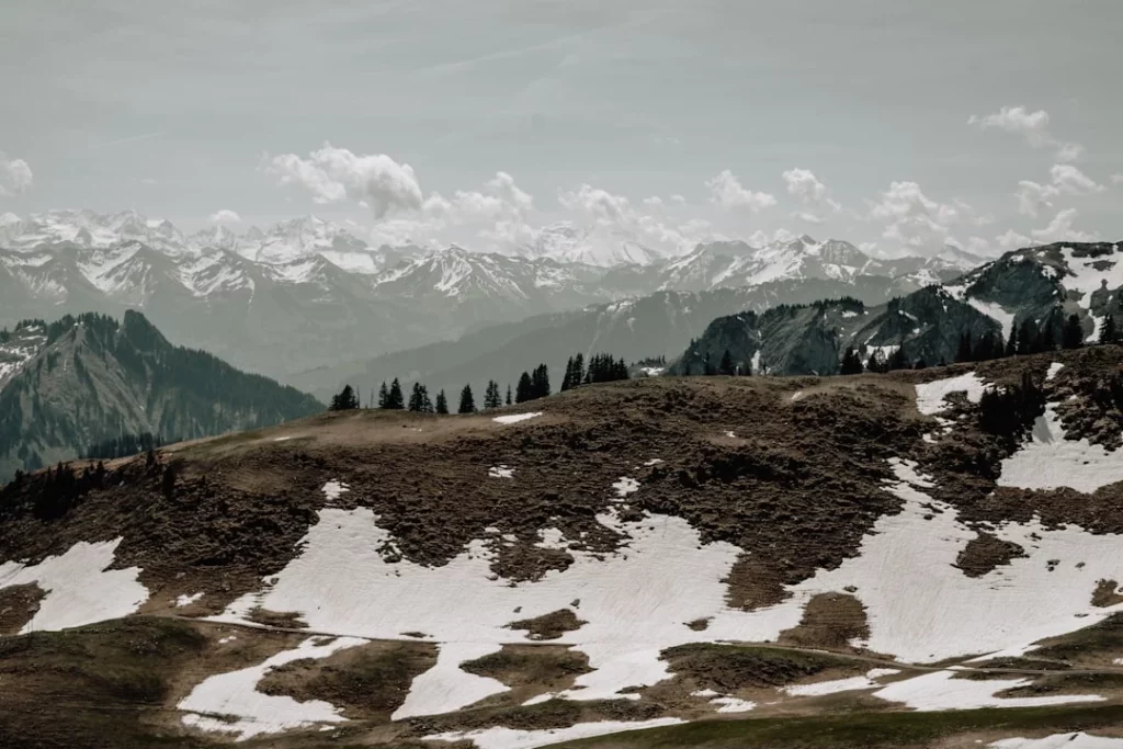 Landscape on a sunny day
