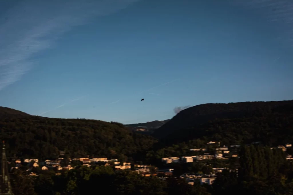 a bird flying over a town