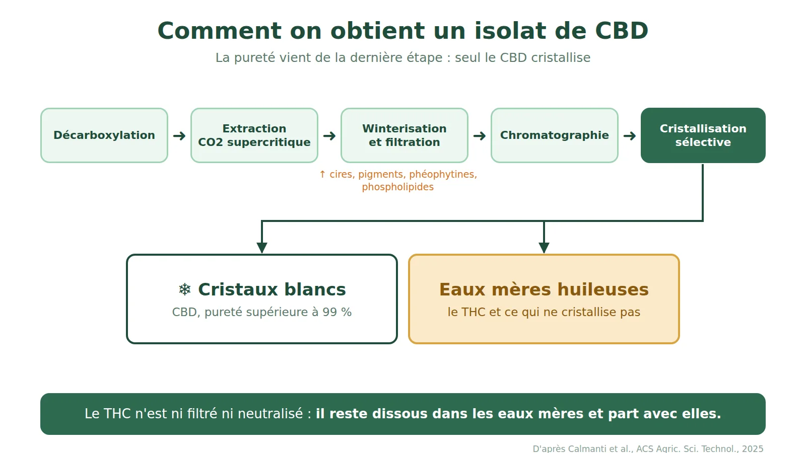Schéma de fabrication d'un isolat de CBD : décarboxylation, extraction CO2 supercritique, winterisation et filtration, chromatographie, cristallisation sélective, qui sépare les cristaux de CBD des eaux mères contenant le THC