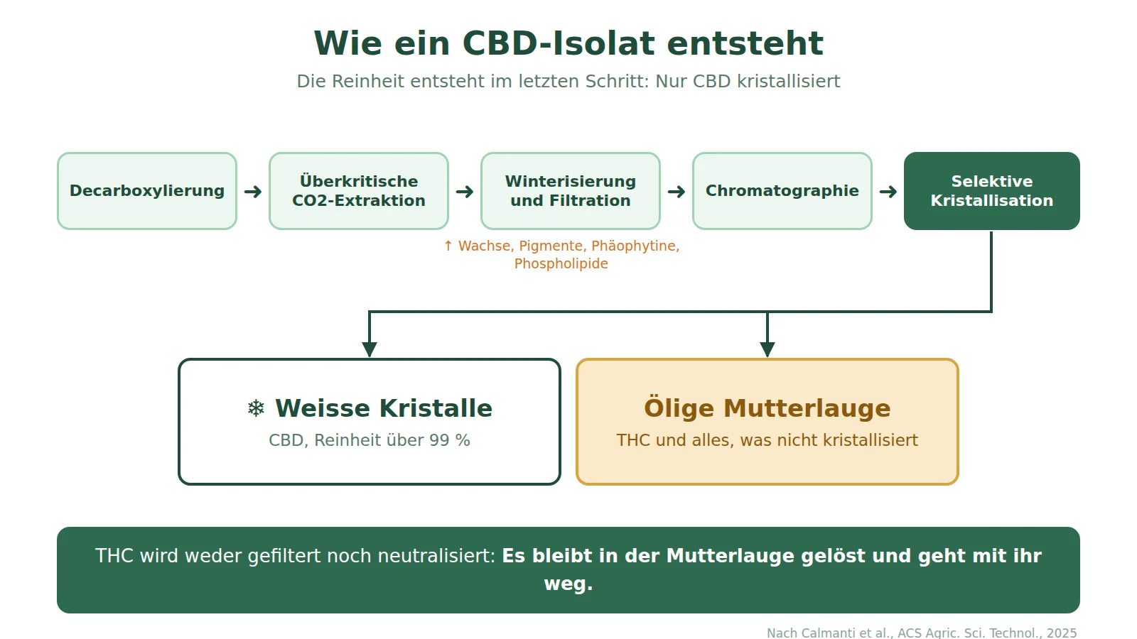 Schema der Herstellung eines CBD-Isolats: Decarboxylierung, überkritische CO2-Extraktion, Winterisierung und Filtration, Chromatographie und selektive Kristallisation, die die CBD-Kristalle von der THC-haltigen Mutterlauge trennt