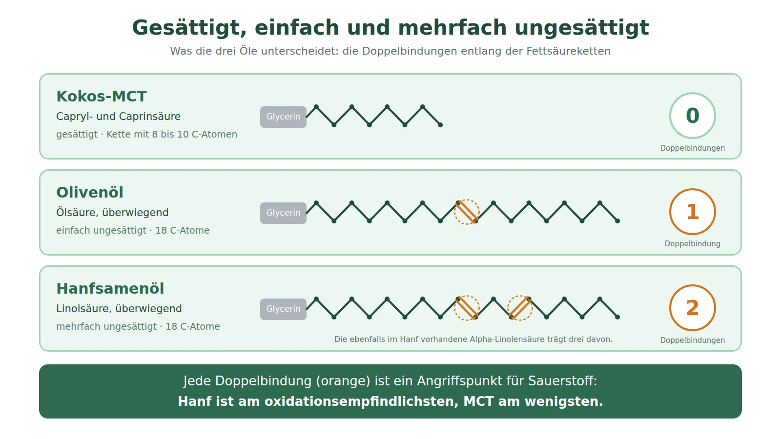 Schema der Fettsäureketten: gesättigtes MCT-Kokosöl ohne Doppelbindung, Ölsäure aus Olivenöl mit einer Doppelbindung, Linolsäure aus Hanf mit zwei Doppelbindungen
