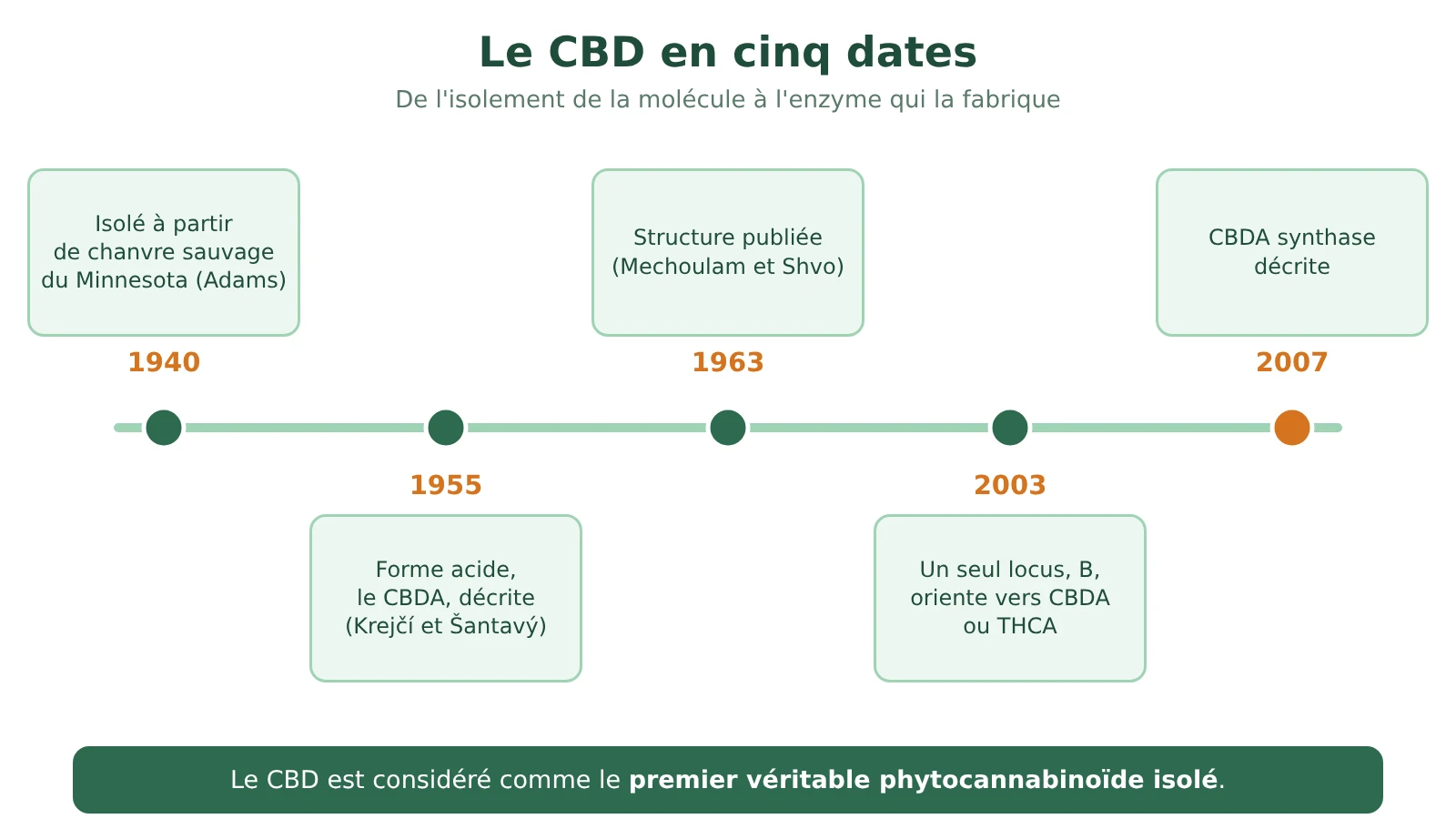 Frise chronologique du CBD : isolé en 1940, CBDA décrit en 1955, structure publiée en 1963, locus B décrit en 2003, CBDA synthase décrite en 2007