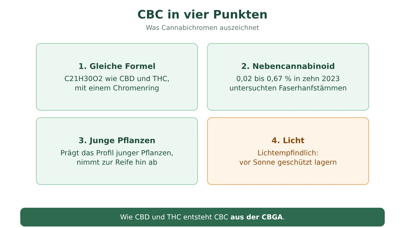 Schema mit vier Eckpunkten zu CBC: gleiche Formel wie CBD, Nebencannabinoid, häufiger in jungen Pflanzen, lichtempfindlich