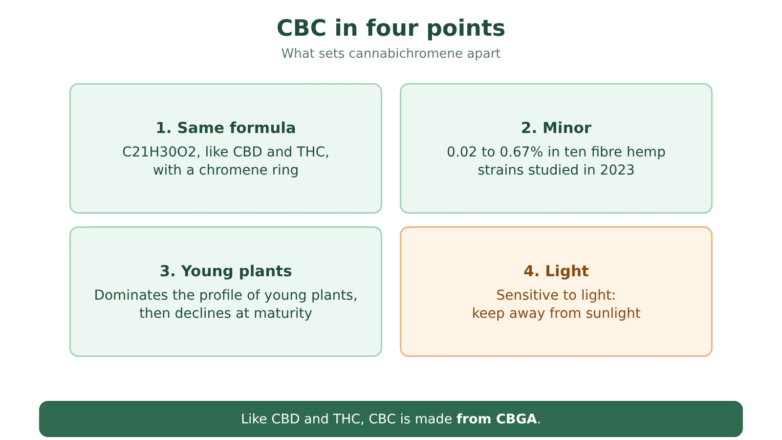 Diagram of four key points on CBC: same formula as CBD, minor cannabinoid, more abundant in young plants, sensitive to light