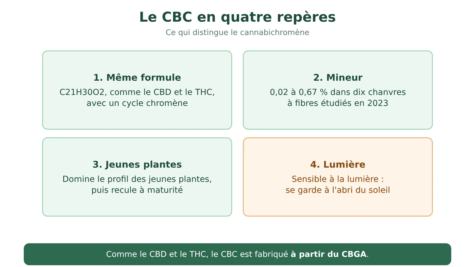 Schéma en quatre repères sur le CBC : même formule que le CBD, cannabinoïde mineur, plus présent chez les jeunes plantes, sensible à la lumière