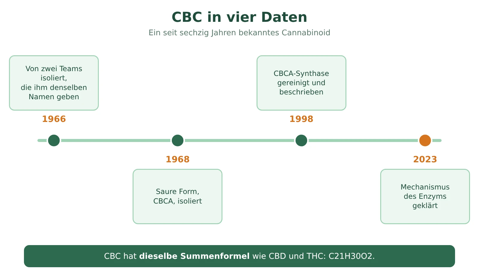Zeitleiste zu CBC: 1966 von zwei Teams isoliert, CBCA 1968 isoliert, CBCA-Synthase 1998 beschrieben, Mechanismus 2023 präzisiert