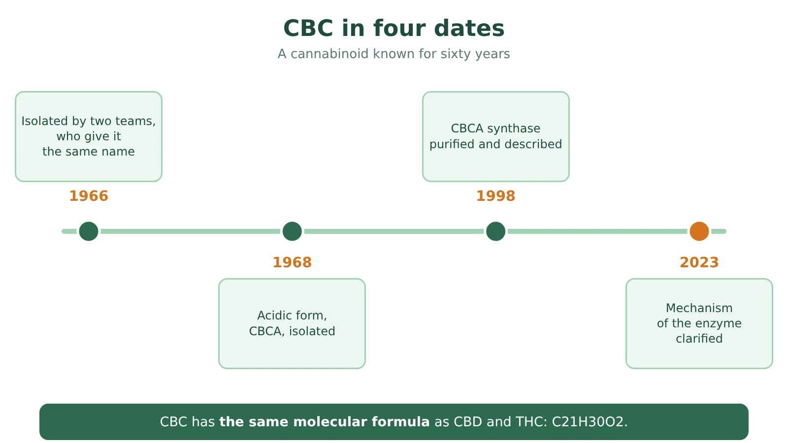 CBC timeline: isolated in 1966 by two teams, CBCA isolated in 1968, CBCA synthase described in 1998, mechanism clarified in 2023