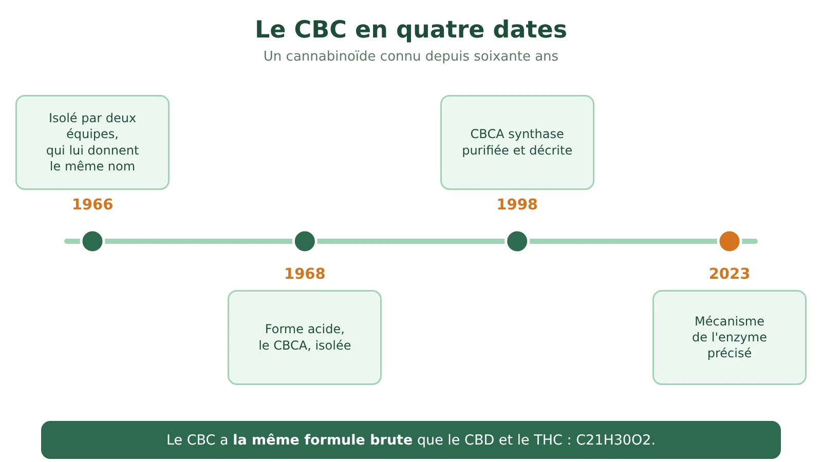 Frise chronologique du CBC : isolé en 1966 par deux équipes, CBCA isolé en 1968, CBCA synthase décrite en 1998, mécanisme précisé en 2023