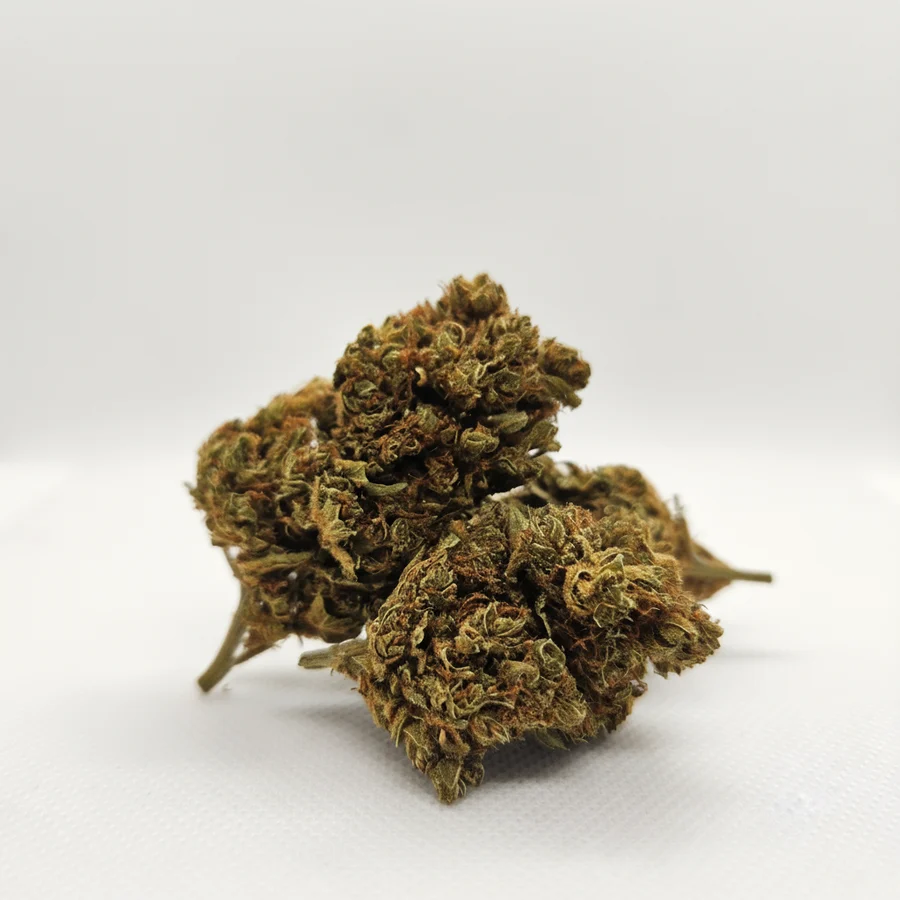 Fleur de CBD séchée, compacte et couverte de trichomes, photographiée sur fond blanc