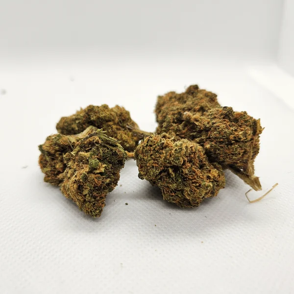 Fleurs de CBD séchées sur fond blanc