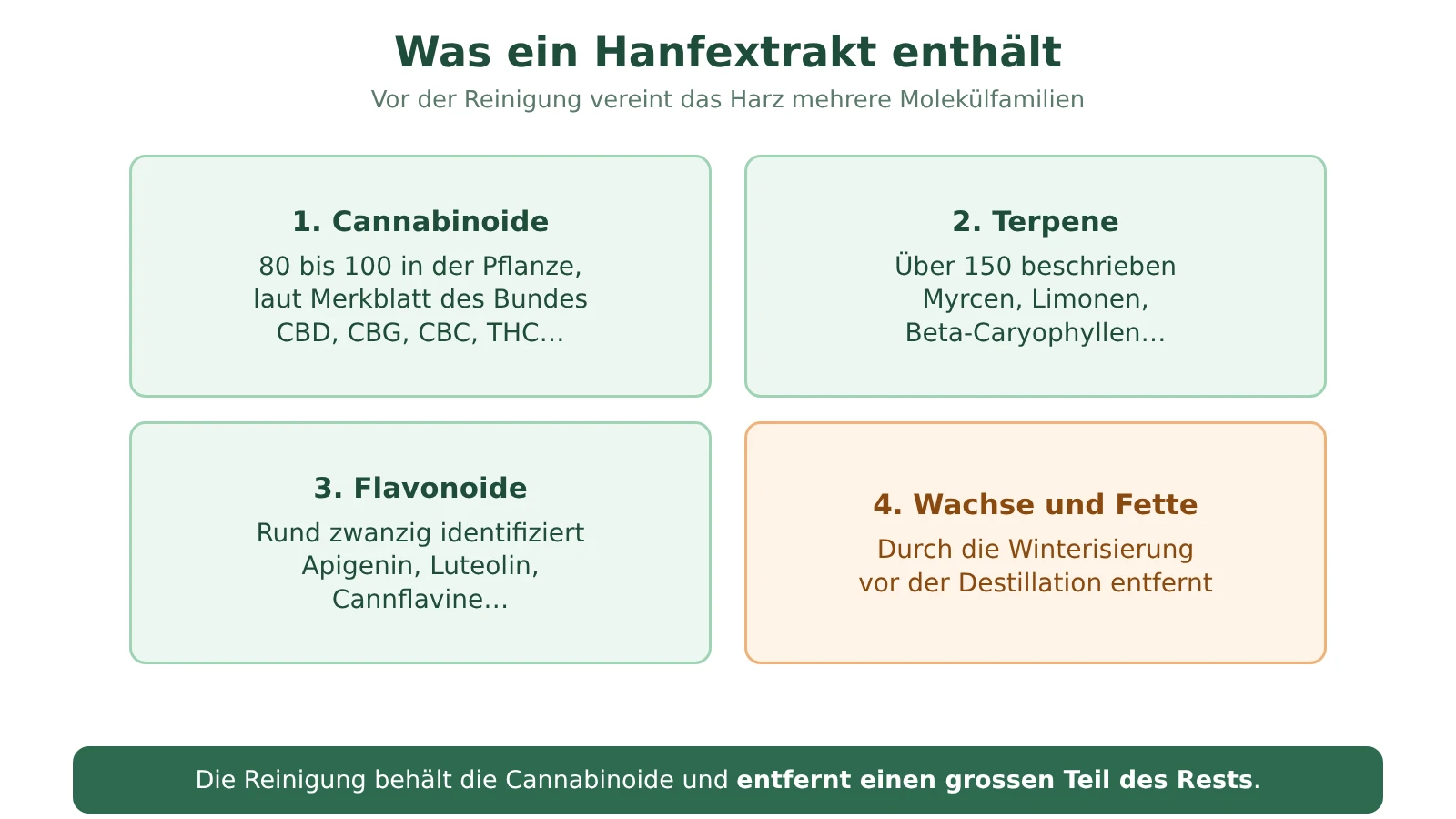Schema der Zusammensetzung eines Hanfextrakts: Cannabinoide, Terpene, Flavonoide, Wachse und Fette