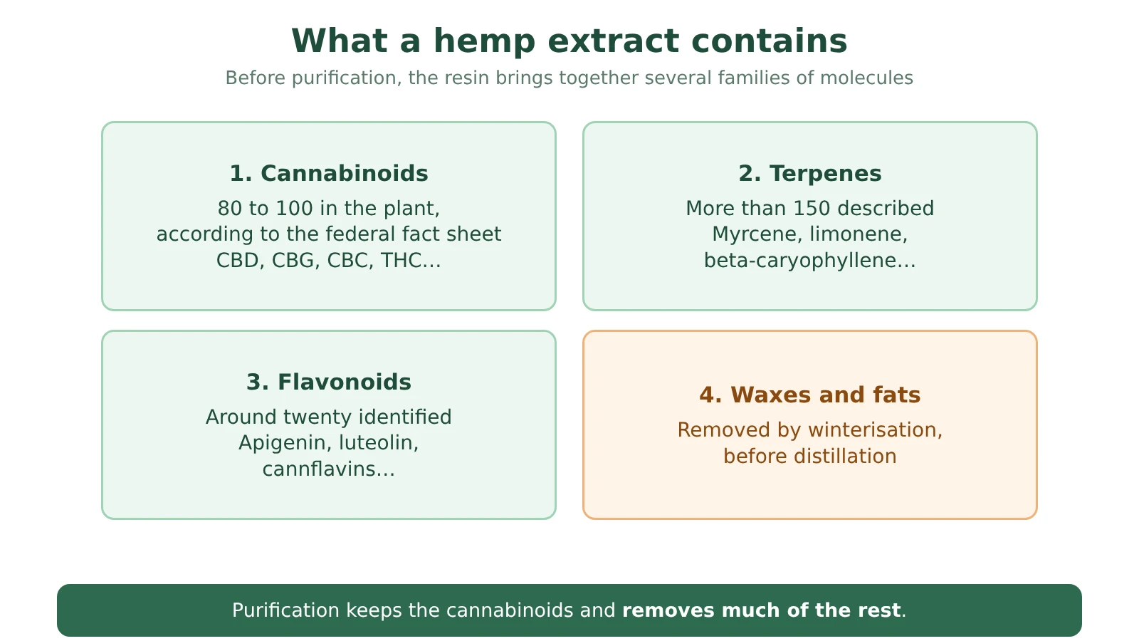 Diagram of the composition of a hemp extract: cannabinoids, terpenes, flavonoids, waxes and fats
