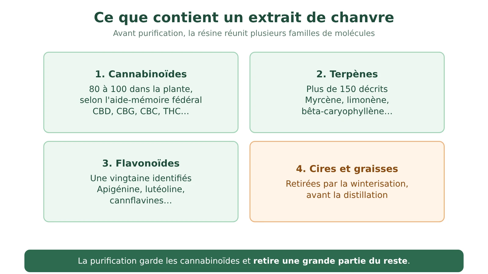 Schéma de la composition d'un extrait de chanvre : cannabinoïdes, terpènes, flavonoïdes, cires et graisses