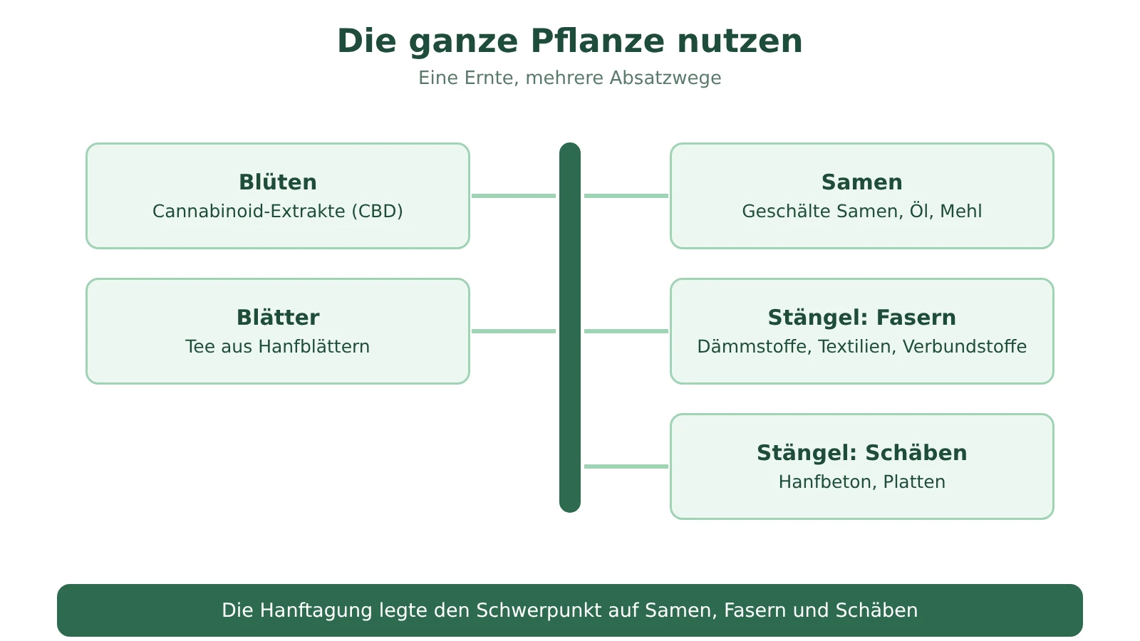 Schema: Samen für Lebensmittel, Fasern und Schäben aus dem Stängel für den Bau, Blätter für Tee, Blüten für CBD-Extrakte