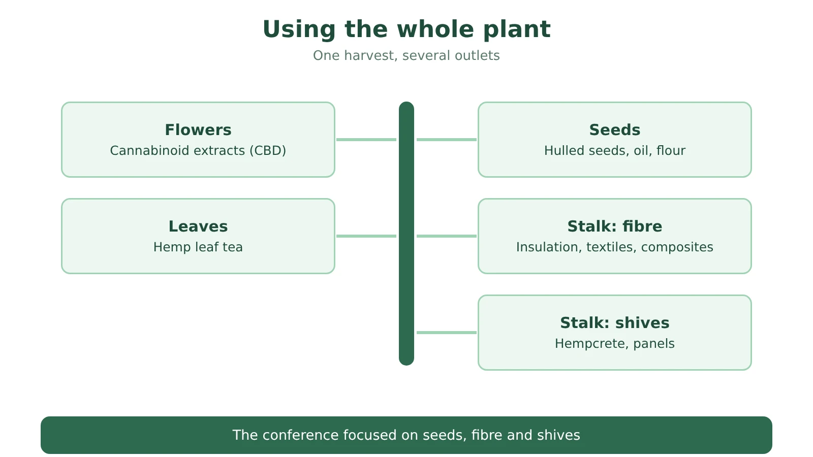 Diagram: seeds for food, fibre and shives from the stalk for construction, leaves for tea, flowers for CBD extracts