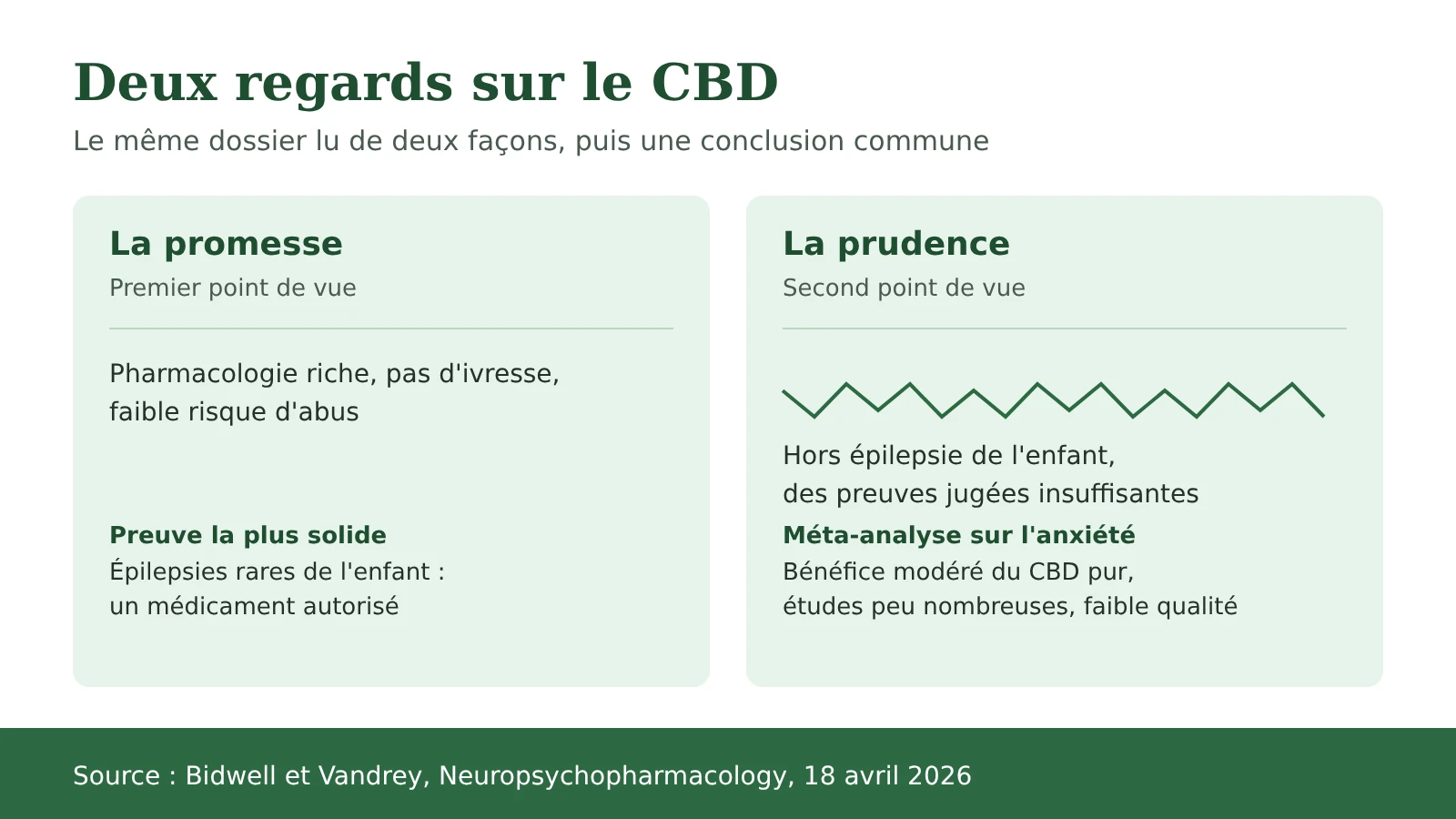 Schéma : les deux regards sur le CBD, la promesse et la prudence