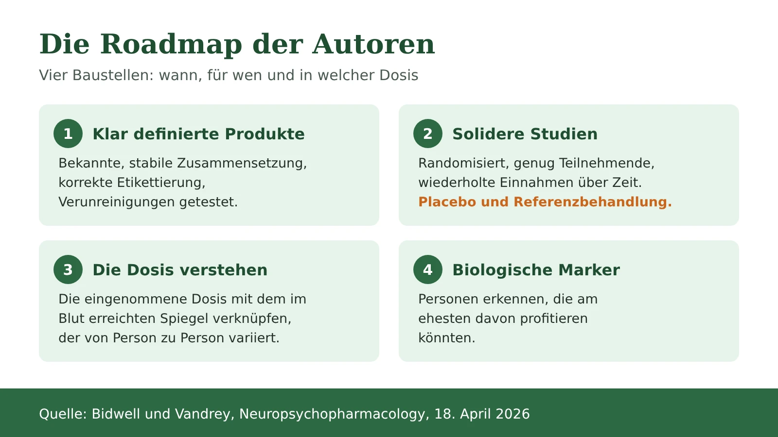 Schema: die vier von den Autoren vorgeschlagenen Forschungsfelder