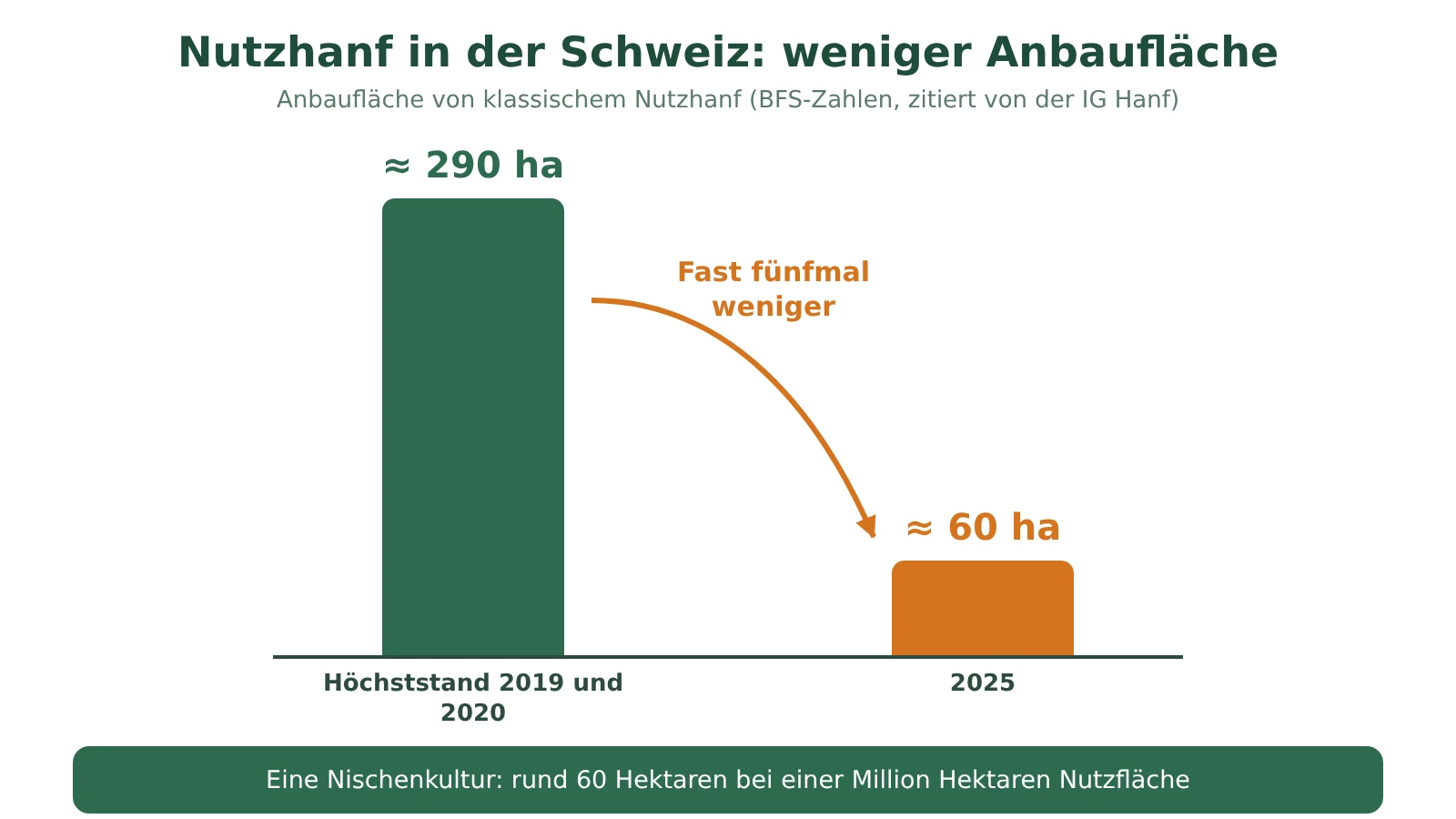 Schema: Nutzhanffläche in der Schweiz, rund 290 Hektaren 2019 und 2020, rund 60 Hektaren 2025