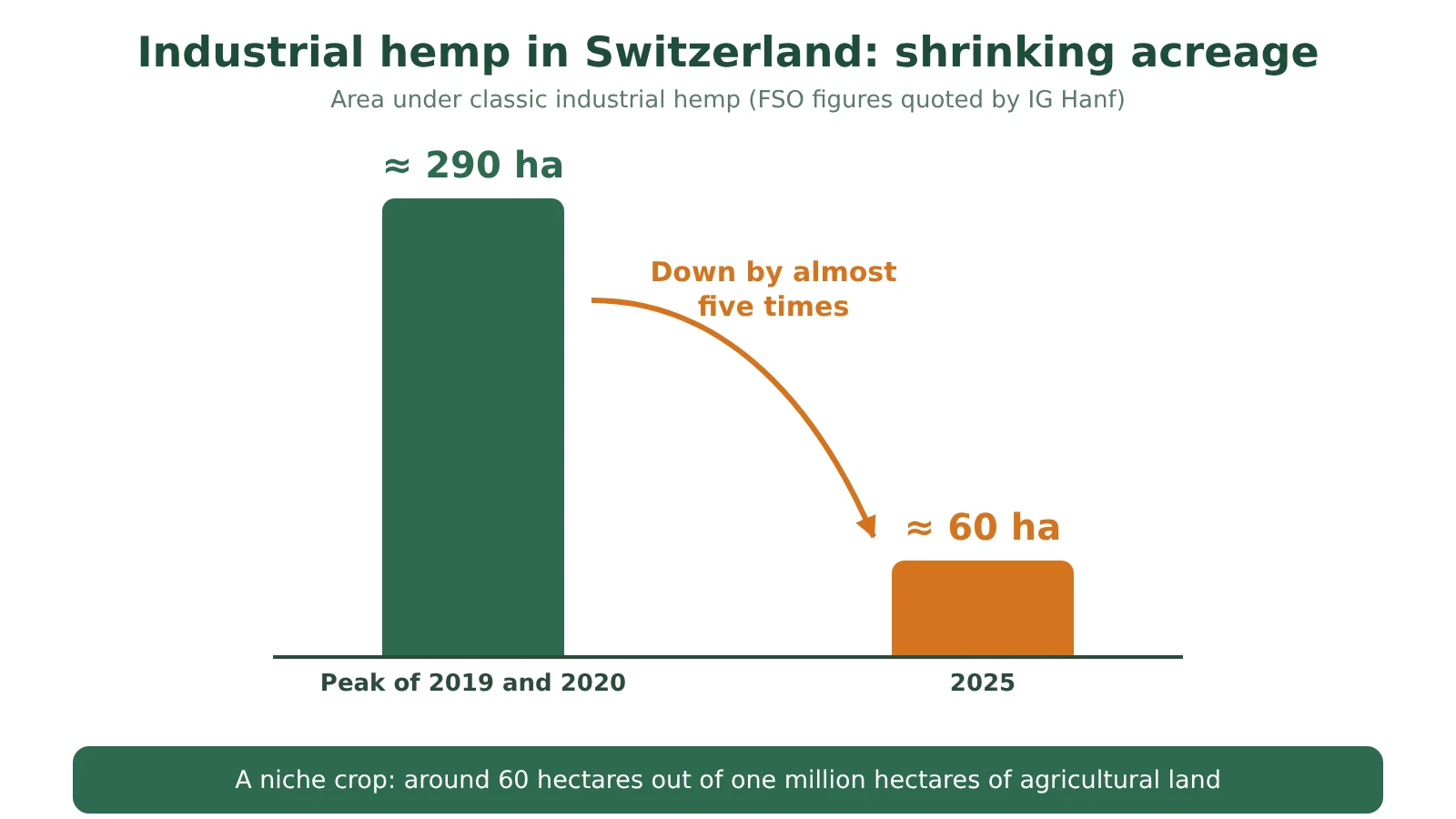 Diagram: industrial hemp area in Switzerland, around 290 hectares in 2019 and 2020, around 60 hectares in 2025