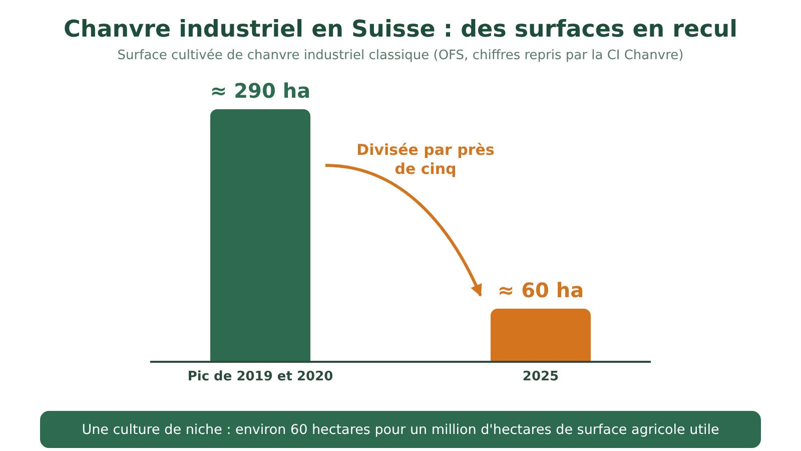 Schéma : surface de chanvre industriel en Suisse, environ 290 hectares en 2019 et 2020, environ 60 hectares en 2025