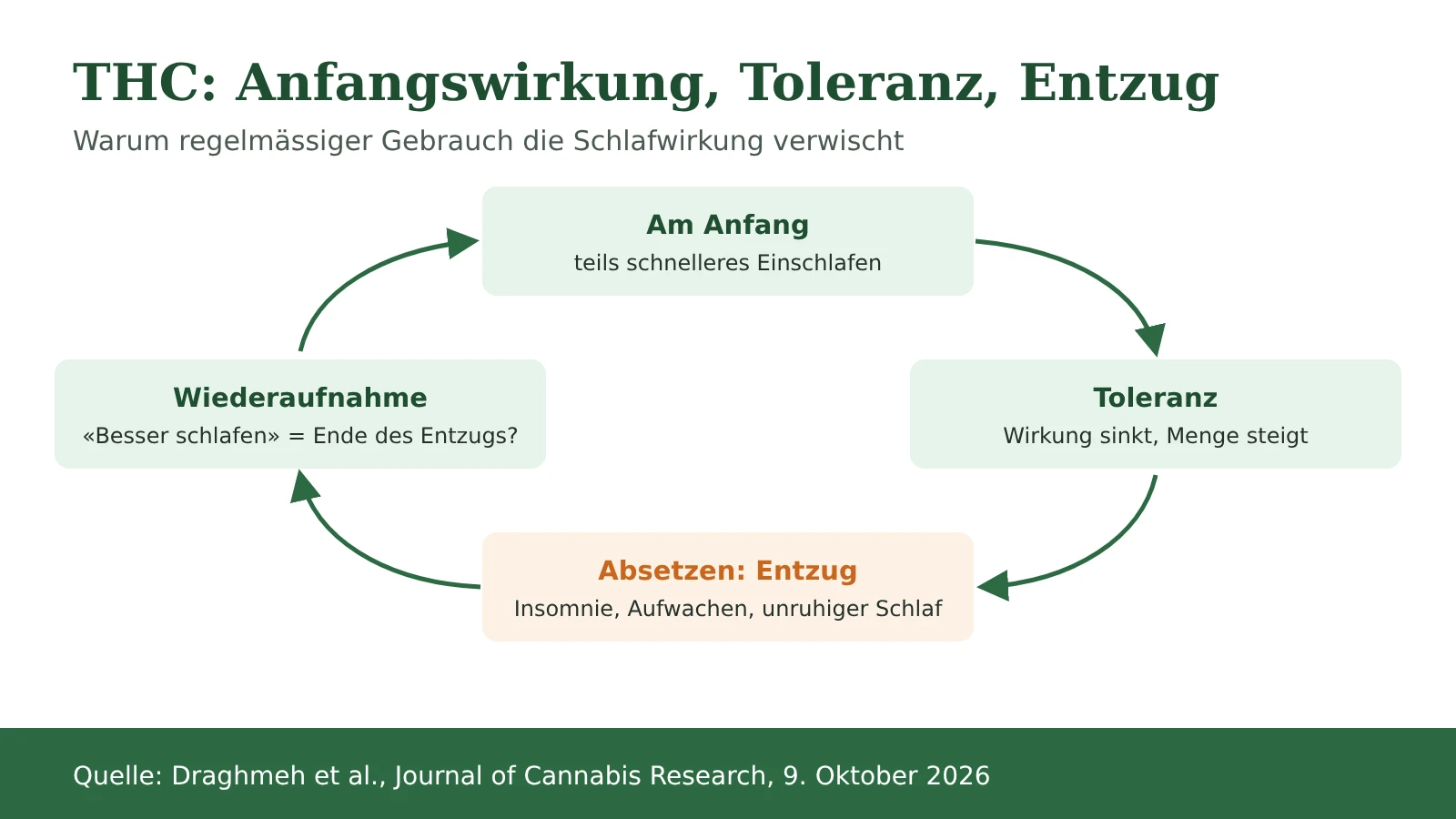 Schema: der Kreislauf aus Toleranz und Entzug bei THC