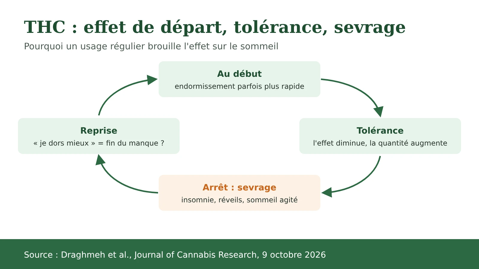 Schéma : le cercle tolérance et sevrage avec le THC