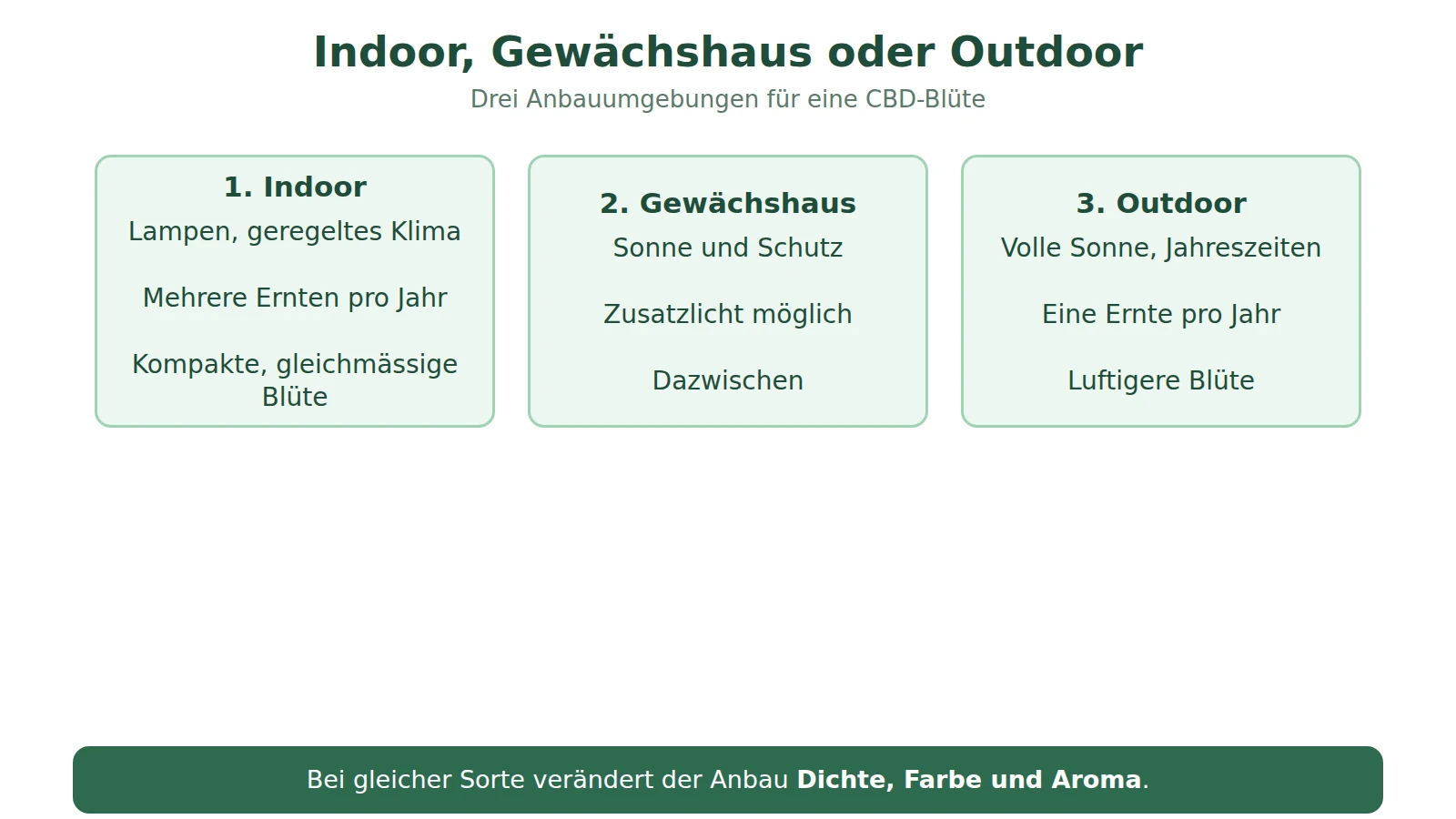 Schema zum Vergleich von Indoor-, Gewächshaus- und Outdoor-Anbau: Licht, Klimasteuerung, Anzahl Ernten und übliches Aussehen der Blüte