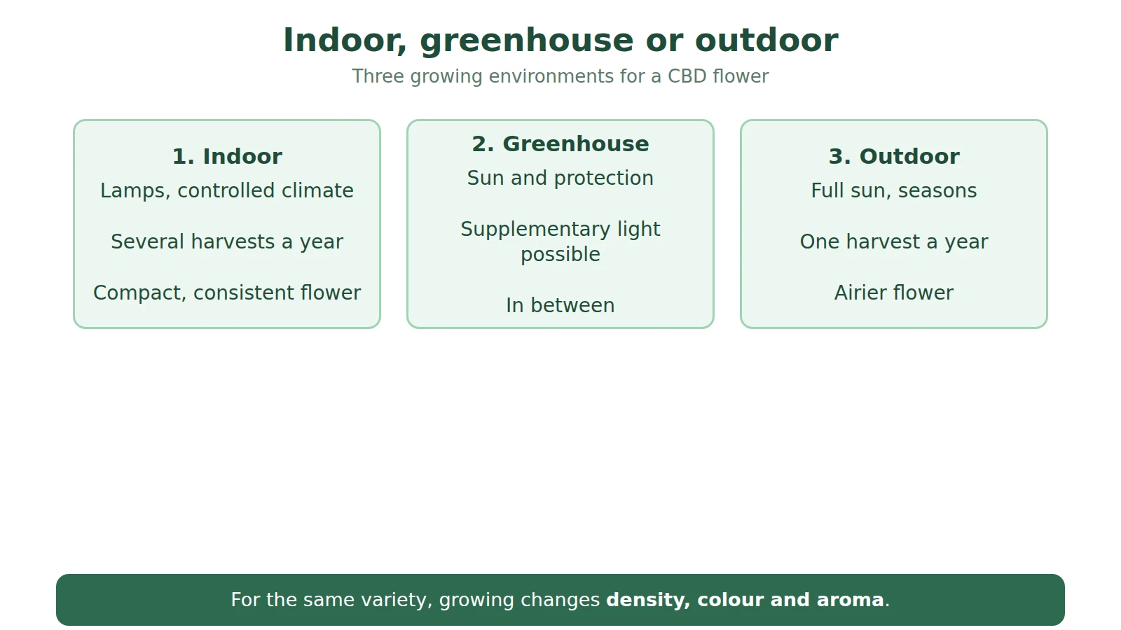 Diagram comparing indoor, greenhouse and outdoor growing: light, climate control, number of harvests and usual appearance of the flower