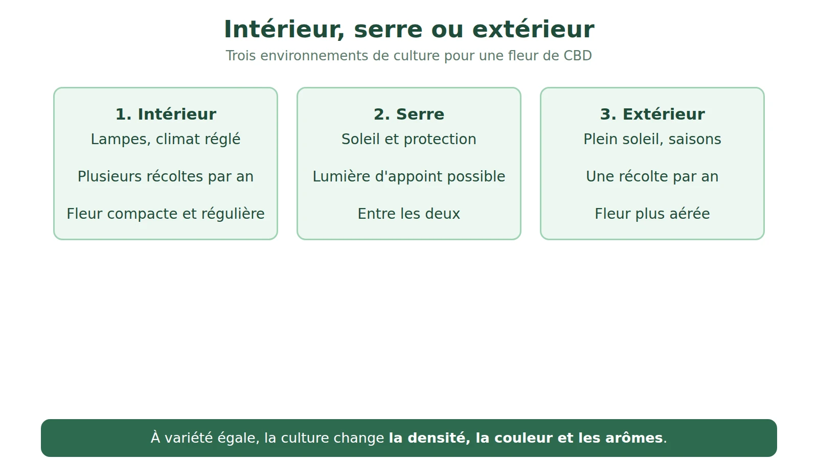Schéma comparant la culture en intérieur, sous serre et en extérieur : lumière, contrôle du climat, nombre de récoltes et aspect habituel de la fleur