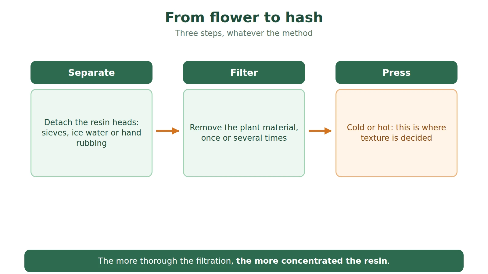 Diagram of the path from flower to hash in three steps: separate the resin, filter it, press it