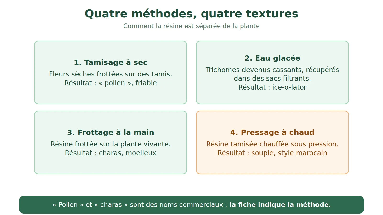 Schéma de quatre méthodes de fabrication du hash : tamisage à sec, eau glacée, frottage à la main, pressage à chaud