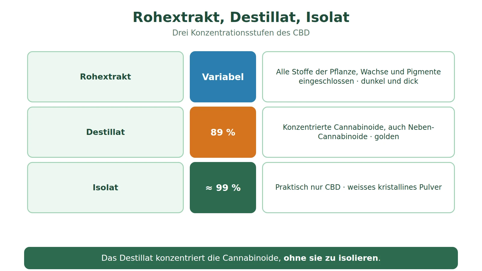 Schema zum Vergleich von Rohextrakt, Destillat mit 89 % CBD und CBD-Isolat: Gehalt und Aussehen