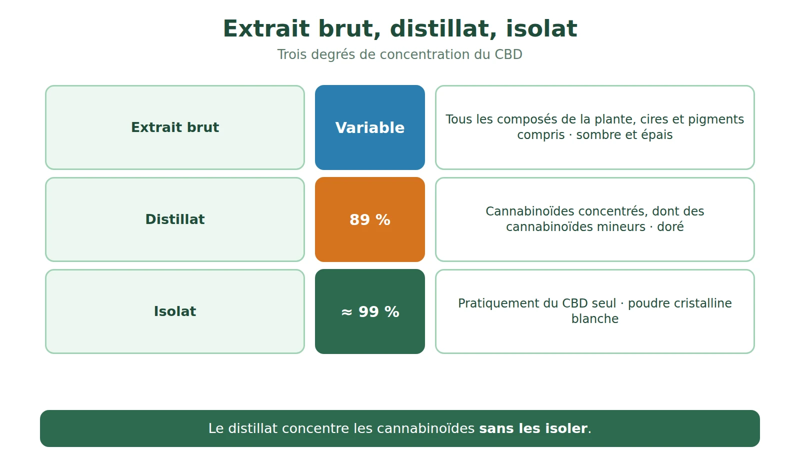 Schéma comparant l'extrait brut, le distillat à 89 % de CBD et l'isolat de CBD : teneur et aspect