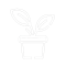 plant-1.png